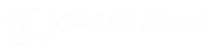 ViajesPlus Logo